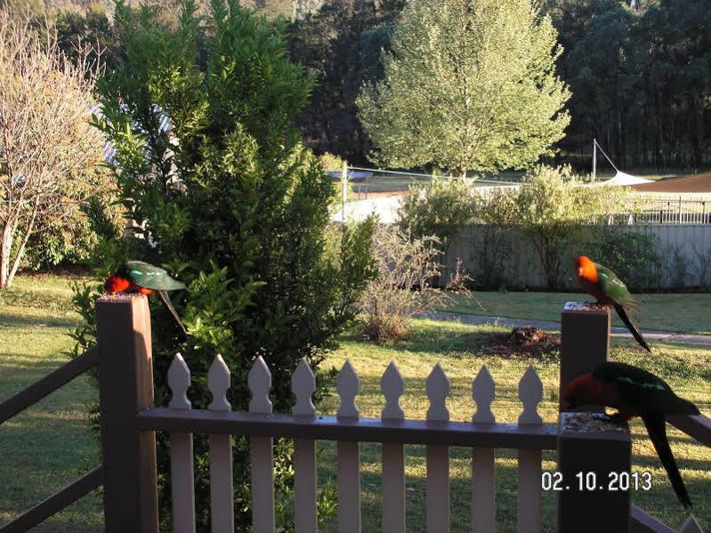 Warrumbungles Mountain Motel Coonabarabran Zewnętrze zdjęcie