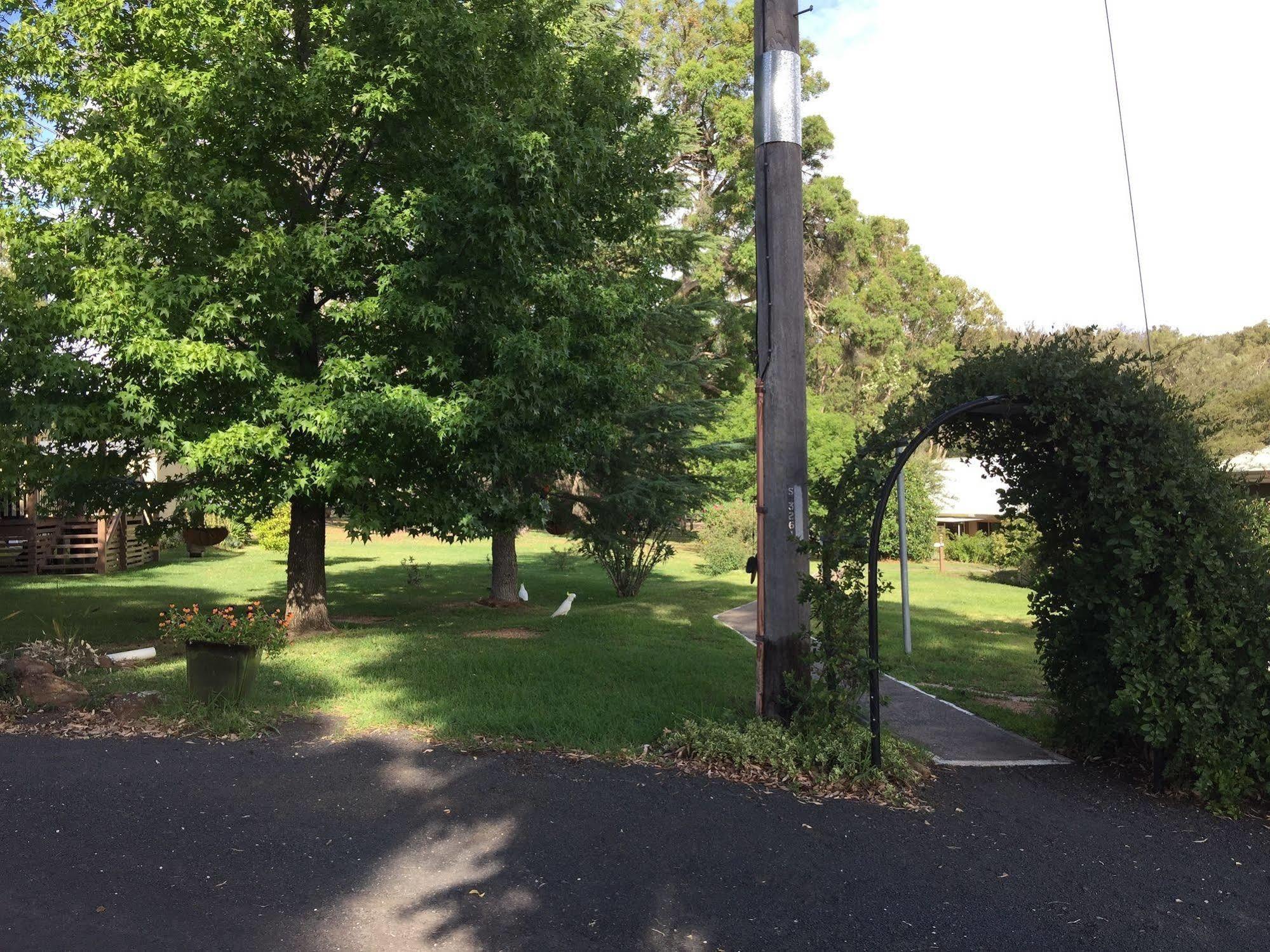 Warrumbungles Mountain Motel Coonabarabran Zewnętrze zdjęcie